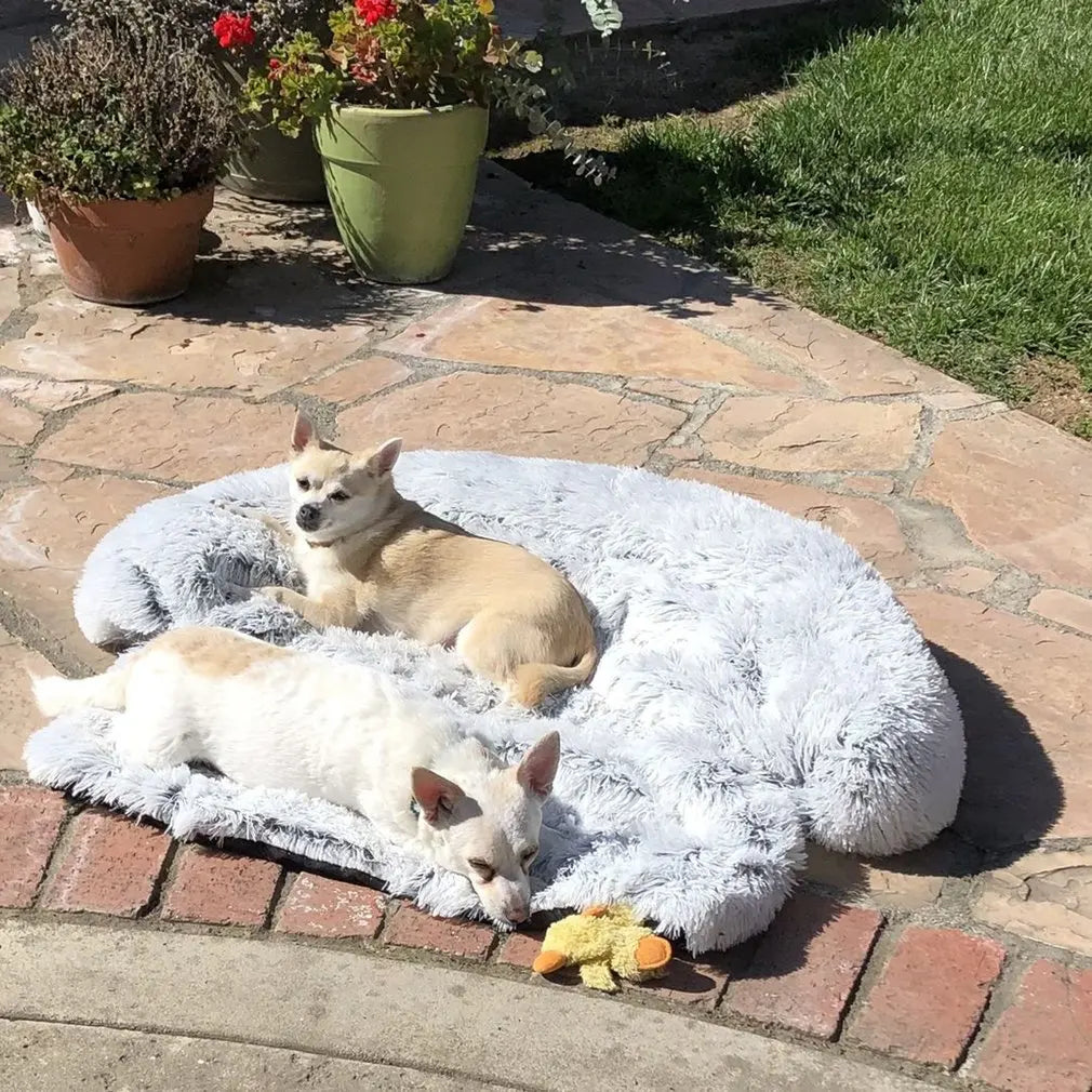 Quishy - Washable Plush Blanket for Pet Sofa