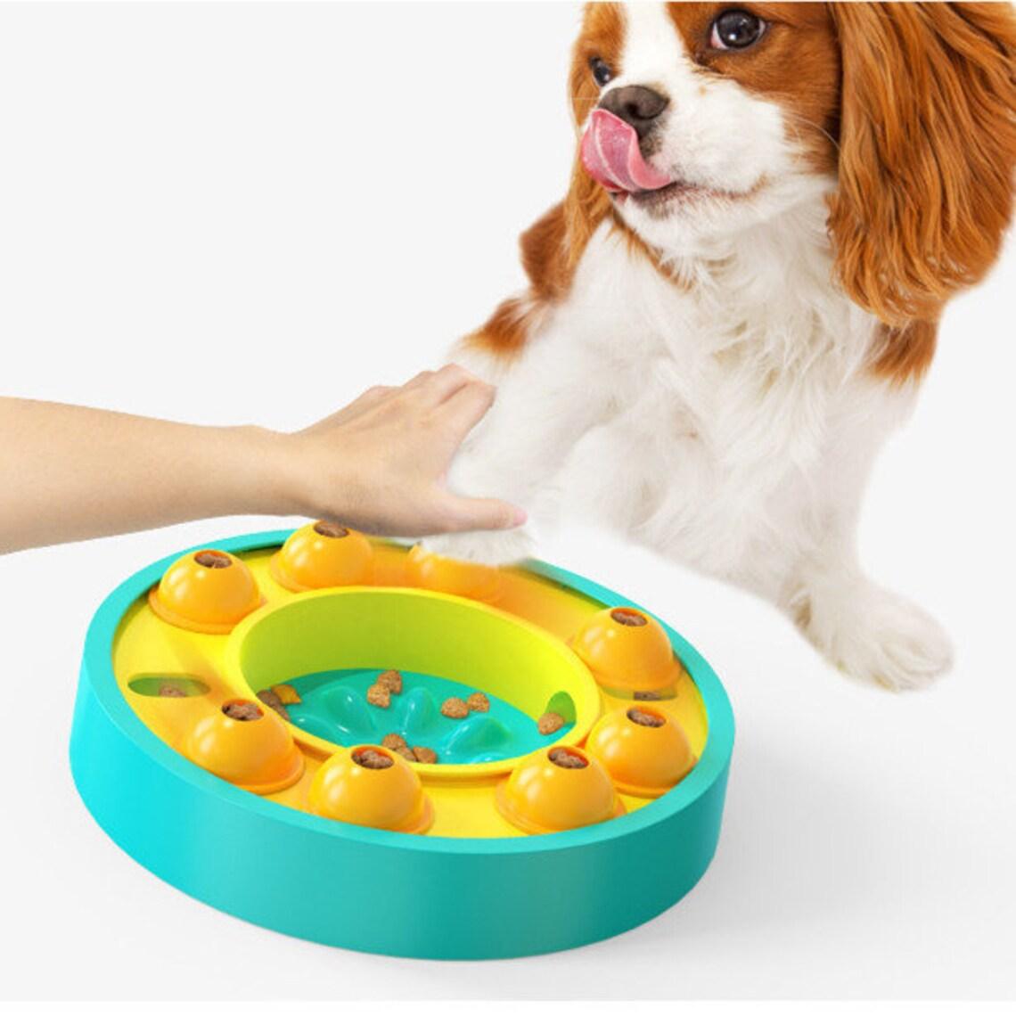 SmartFeeder - Interactive Dog Bowl